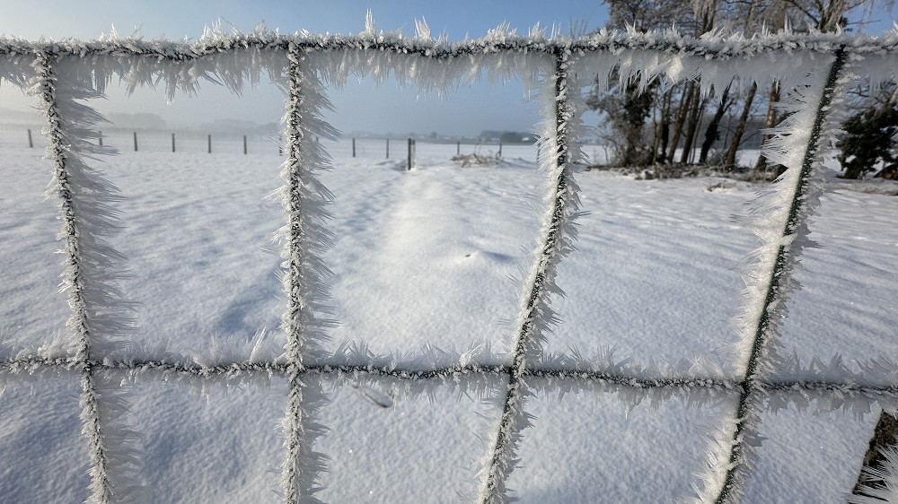 Sneeuwfoto 17 januari 2003