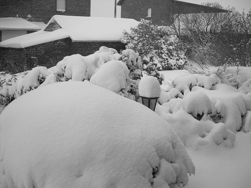 Witte kerst 2010