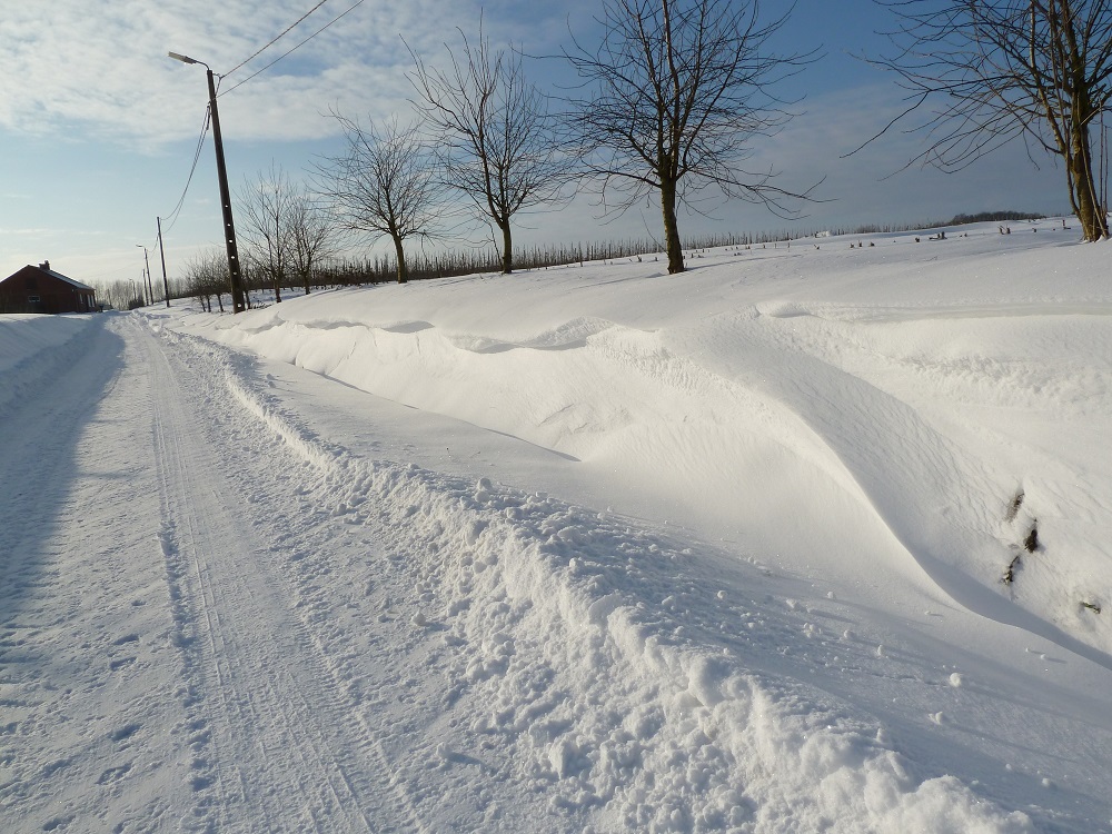 Witte kerst 2010