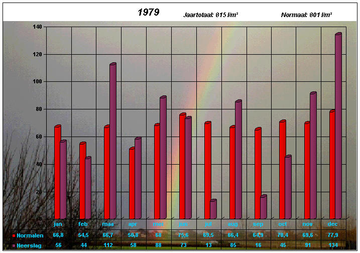 neerslaggrafiek 1979