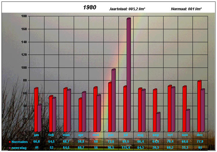 neerslaggrafiek 1980