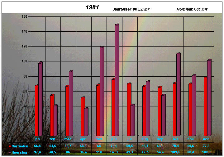 neerslaggrafiek 1981