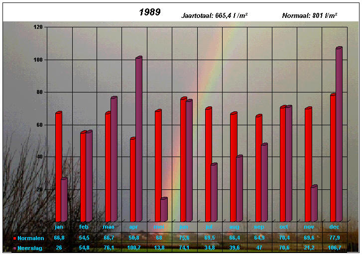 neerslaggrafiek 1989