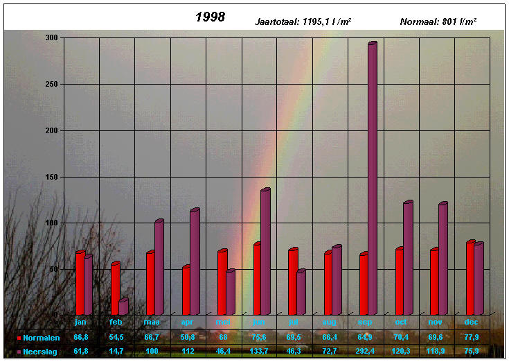 neerslaggrafiek 1998