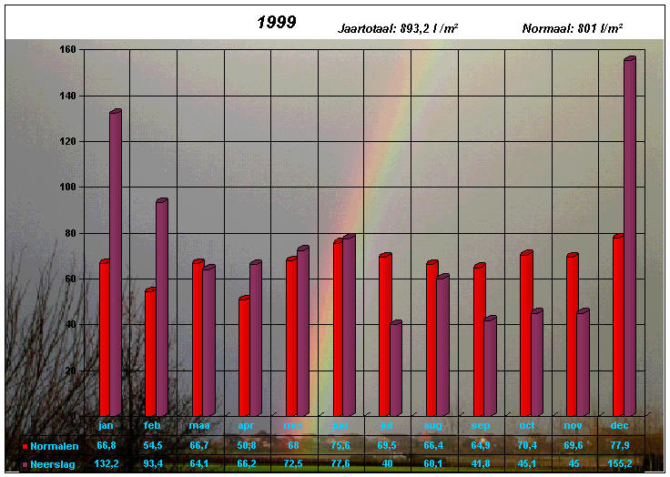 neerslaggrafiek 1999