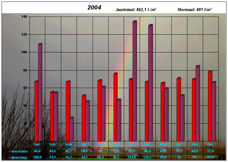 neerslaggrafiek 2004