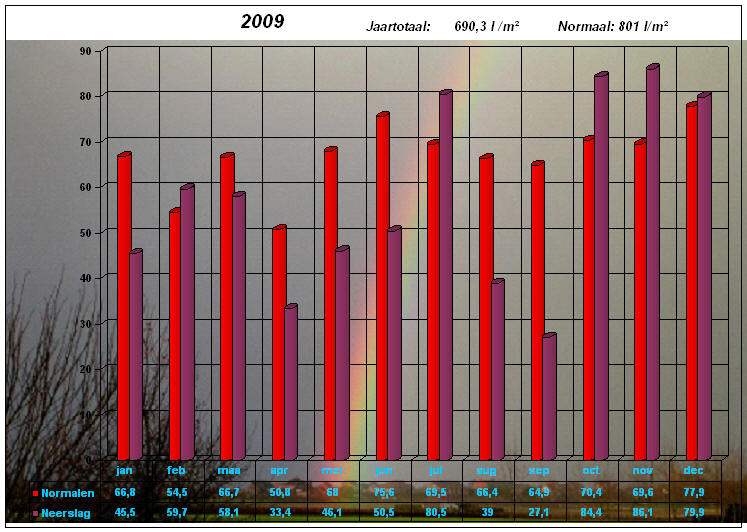 neerslaggrafiek 2009
