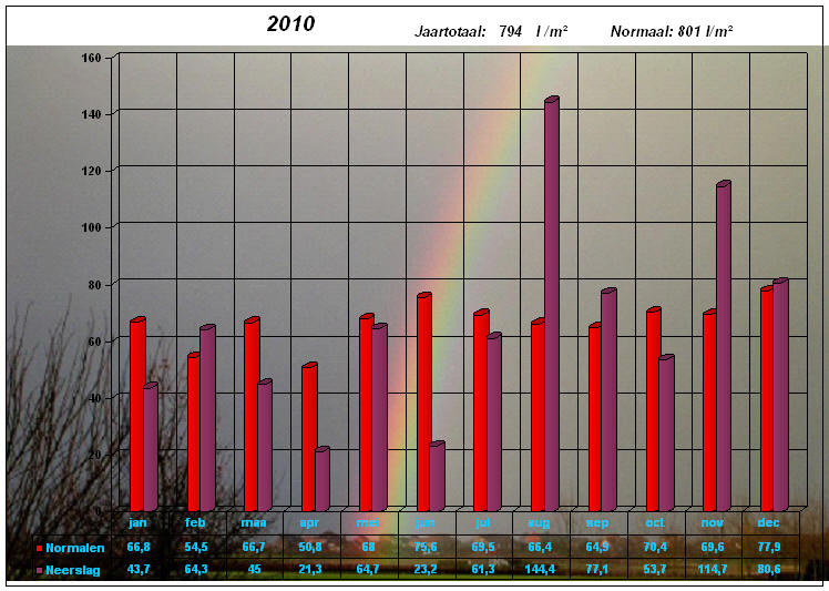 neerslaggrafiek 2010
