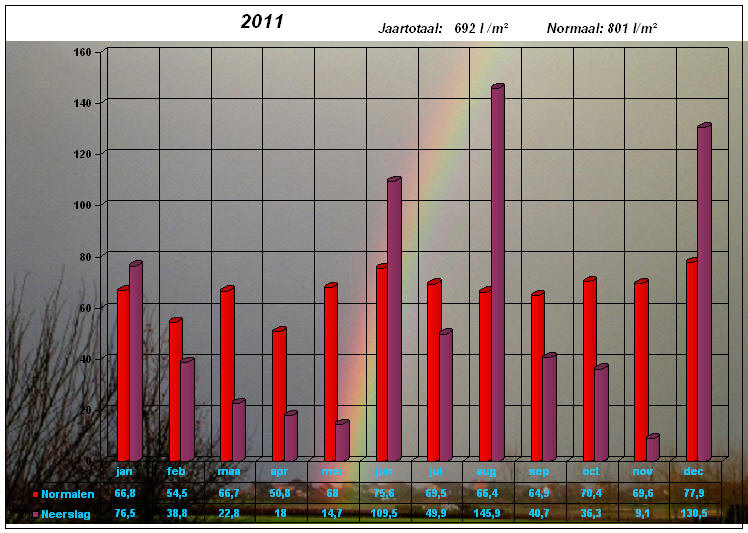 neerslaggrafiek 2011