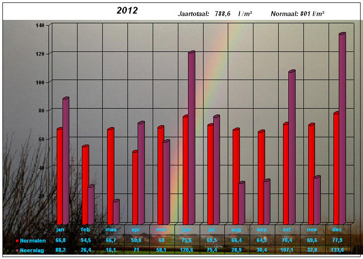 neerslaggrafiek 2012