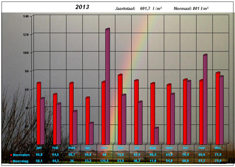 neerslaggrafiek 2013