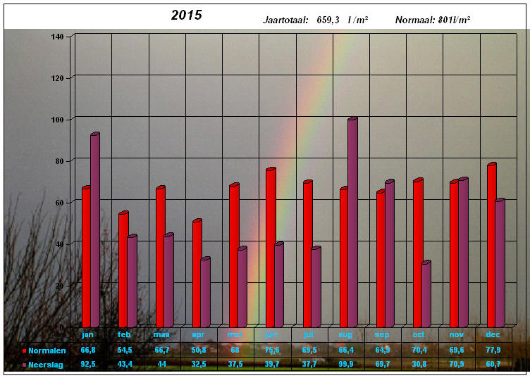 neerslaggrafiek 2015