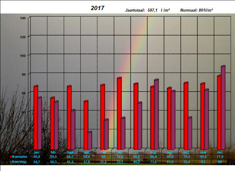 neerslaggrafiek 2017