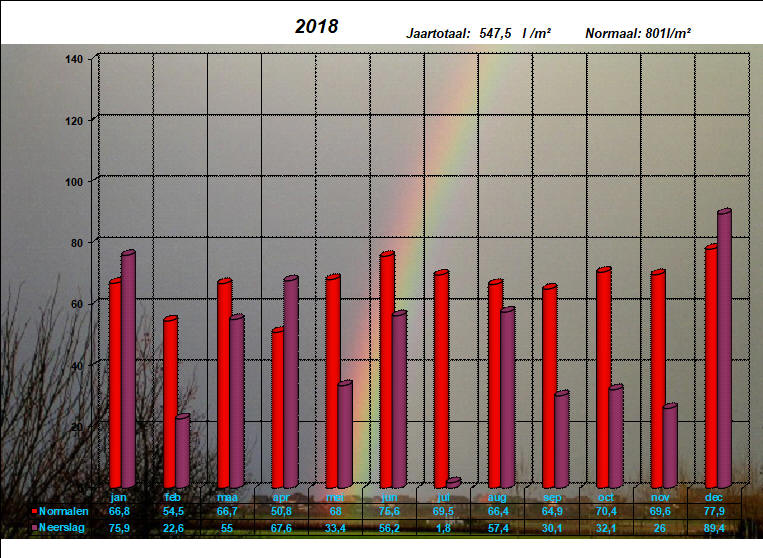 neerslaggrafiek 2018