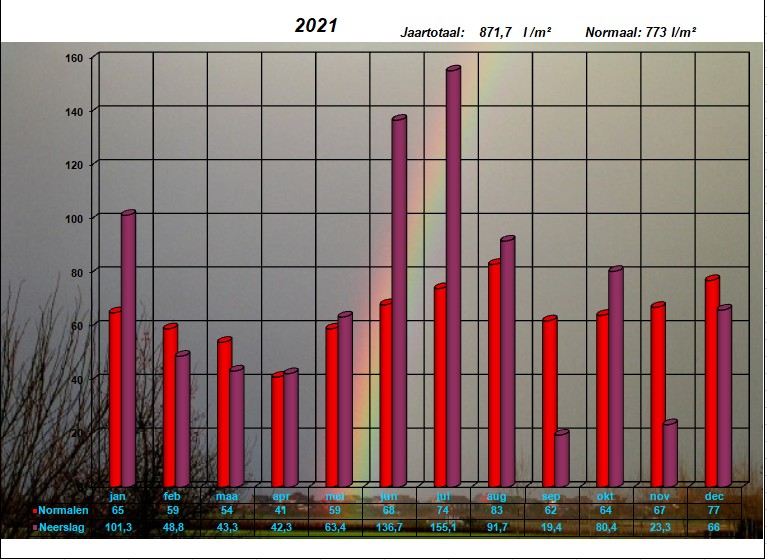 neerslaggrafiek 2021