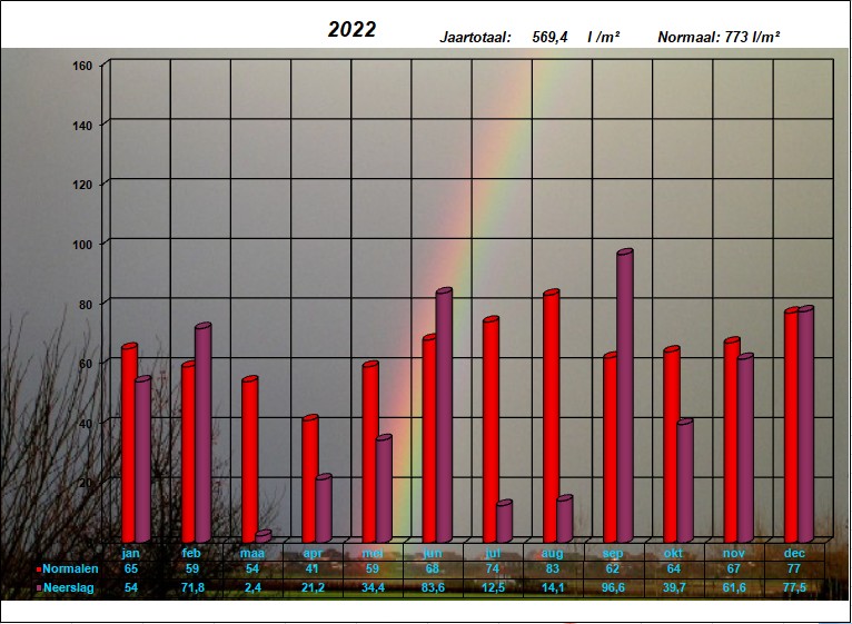 neerslaggrafiek 2022