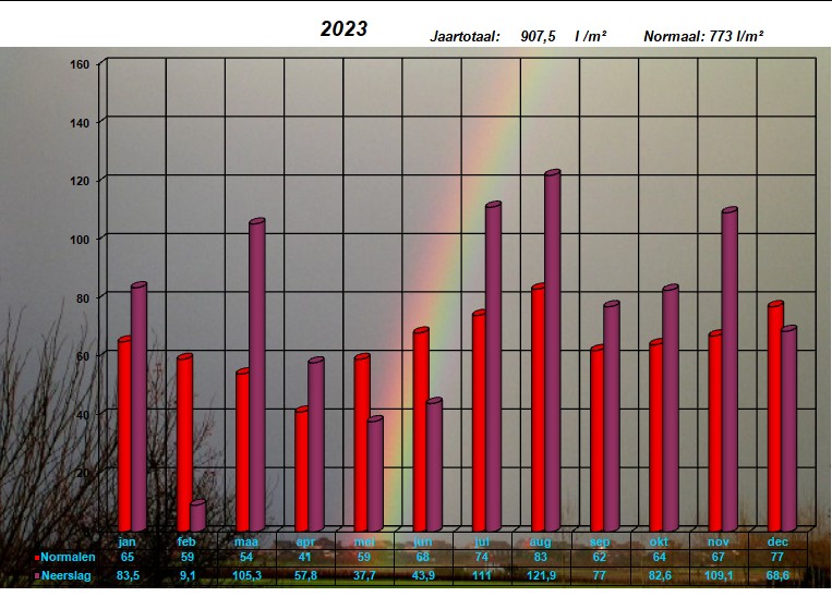 neerslaggrafiek 2023