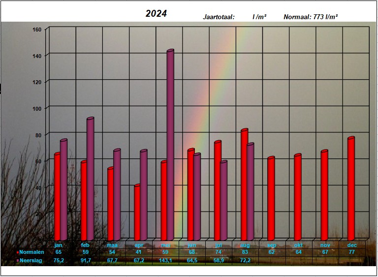 neerslaggrafiek 2024