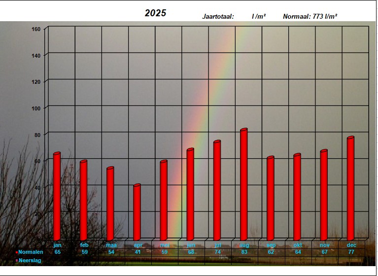 neerslaggrafiek 2025